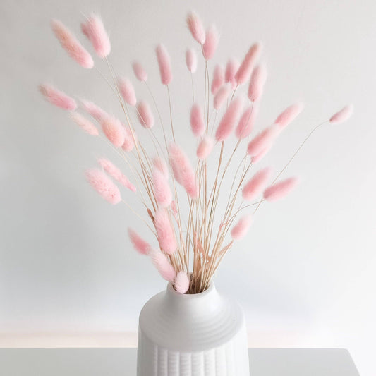 Pink Bunny Tails | Dried Flower Bundle