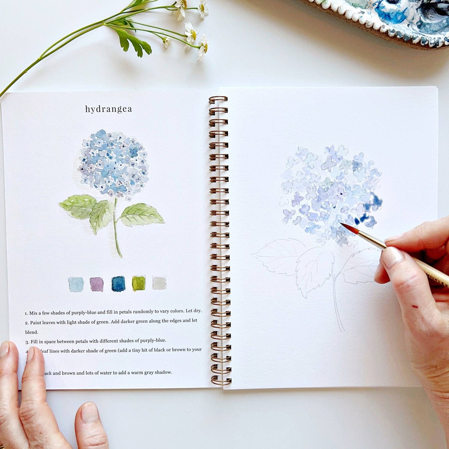 Flowers Watercolour Paint Workbook by Emily Lex