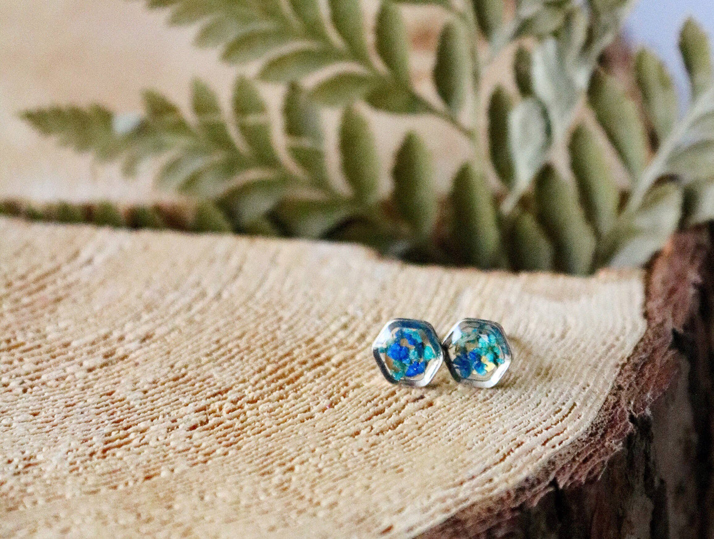 Clous d'oreilles hexagonaux | Silver Nature