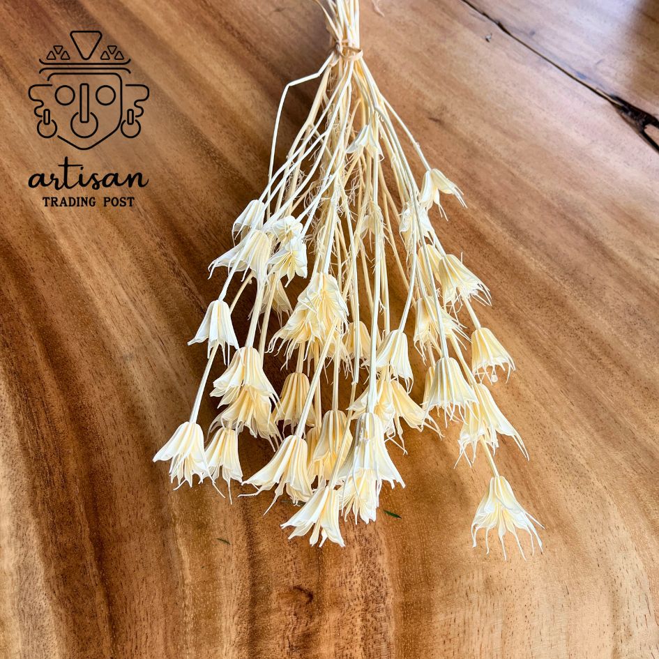 Cream Nigella Orientalis | Dried Flower Bundle