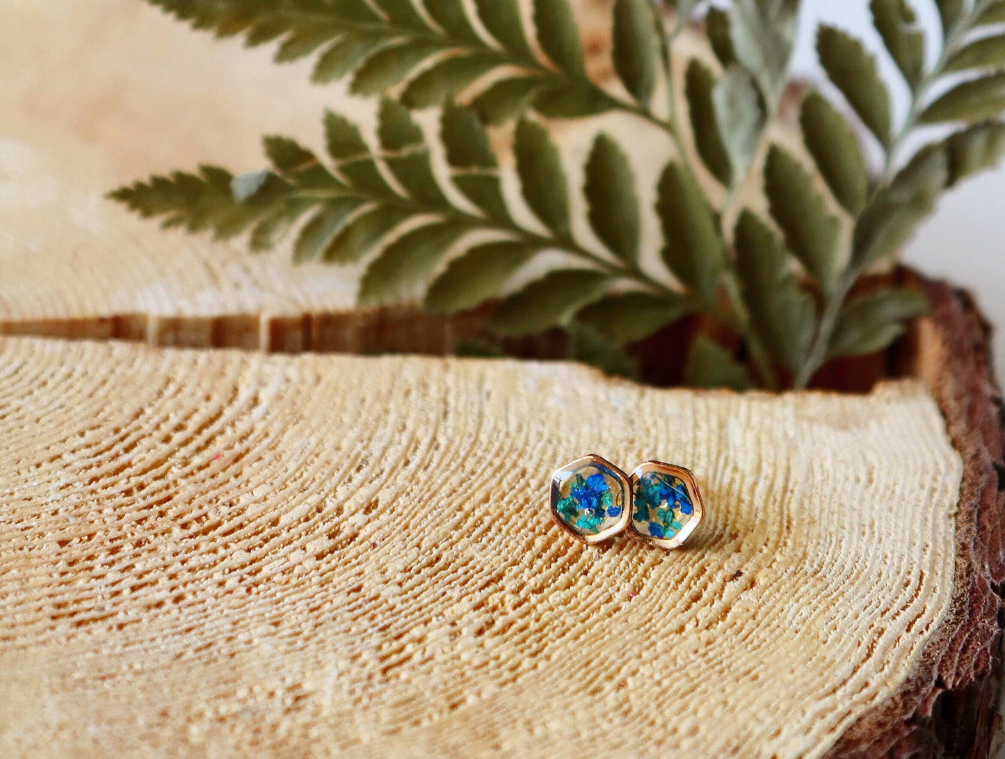 Clous d'oreilles hexagonaux | Silver Nature