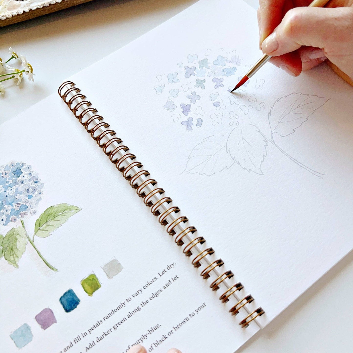 Flowers Watercolour Paint Workbook by Emily Lex