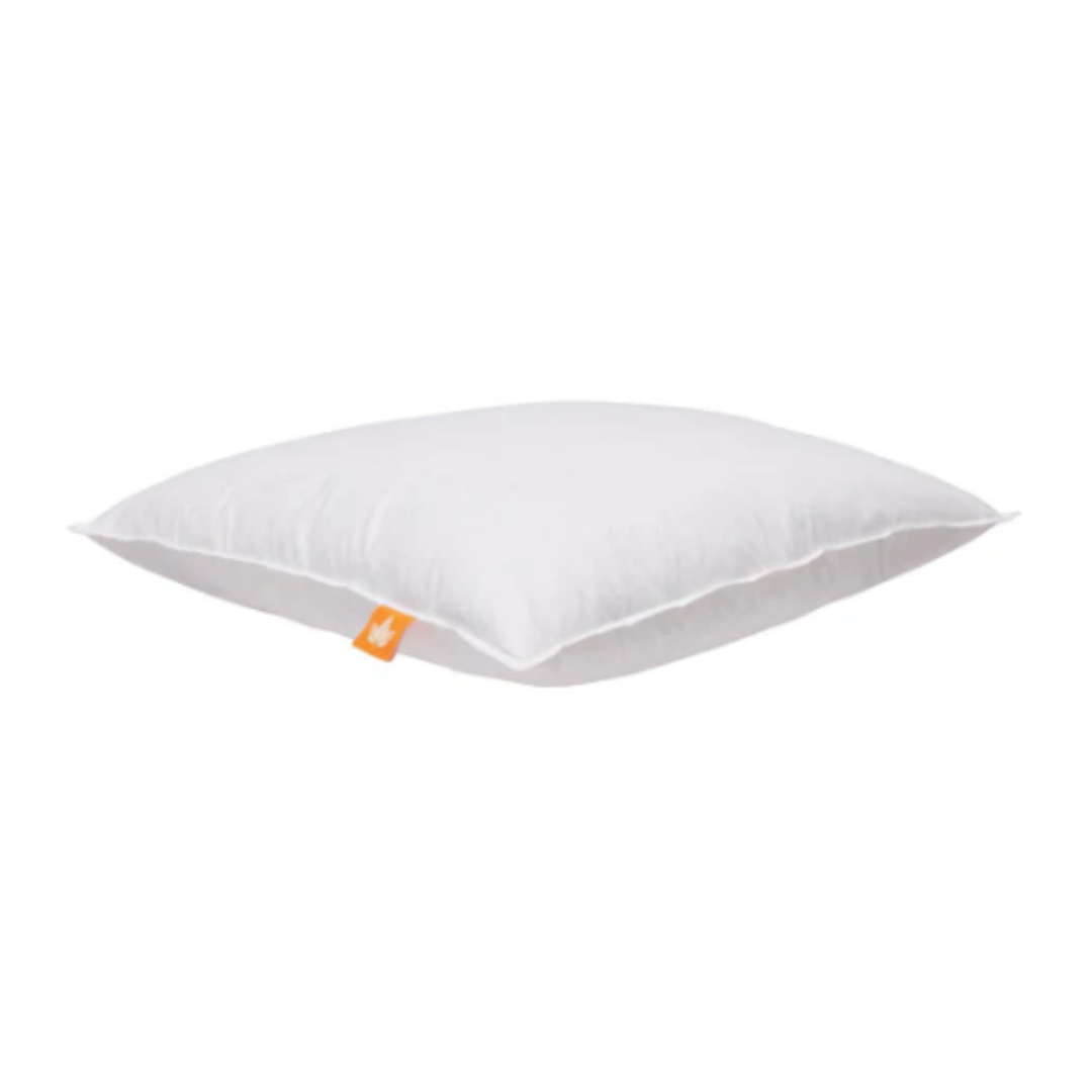 Coussin en plumes d'oie | 20" x 20"