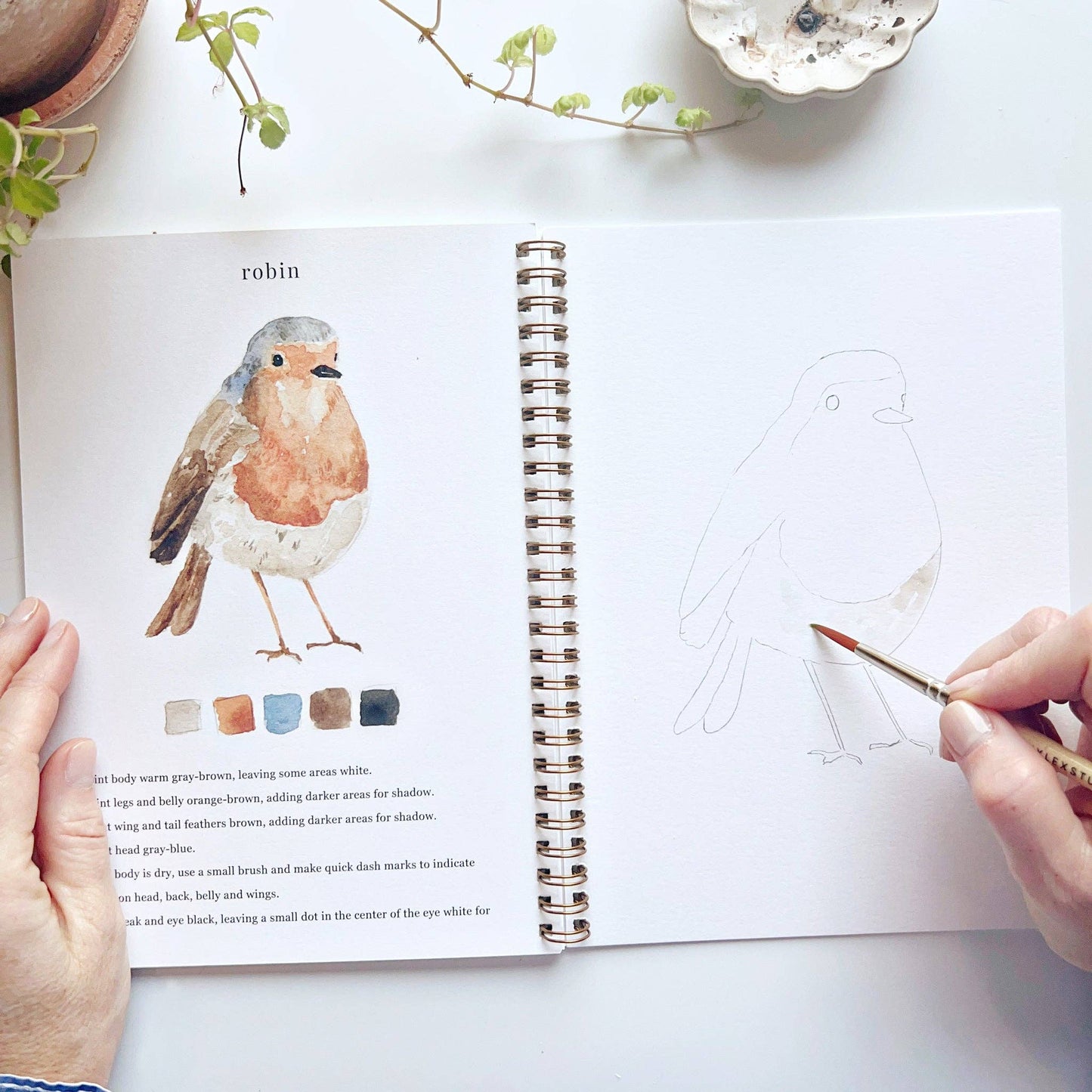Birds | Watercolour Workbook by Emily Lex