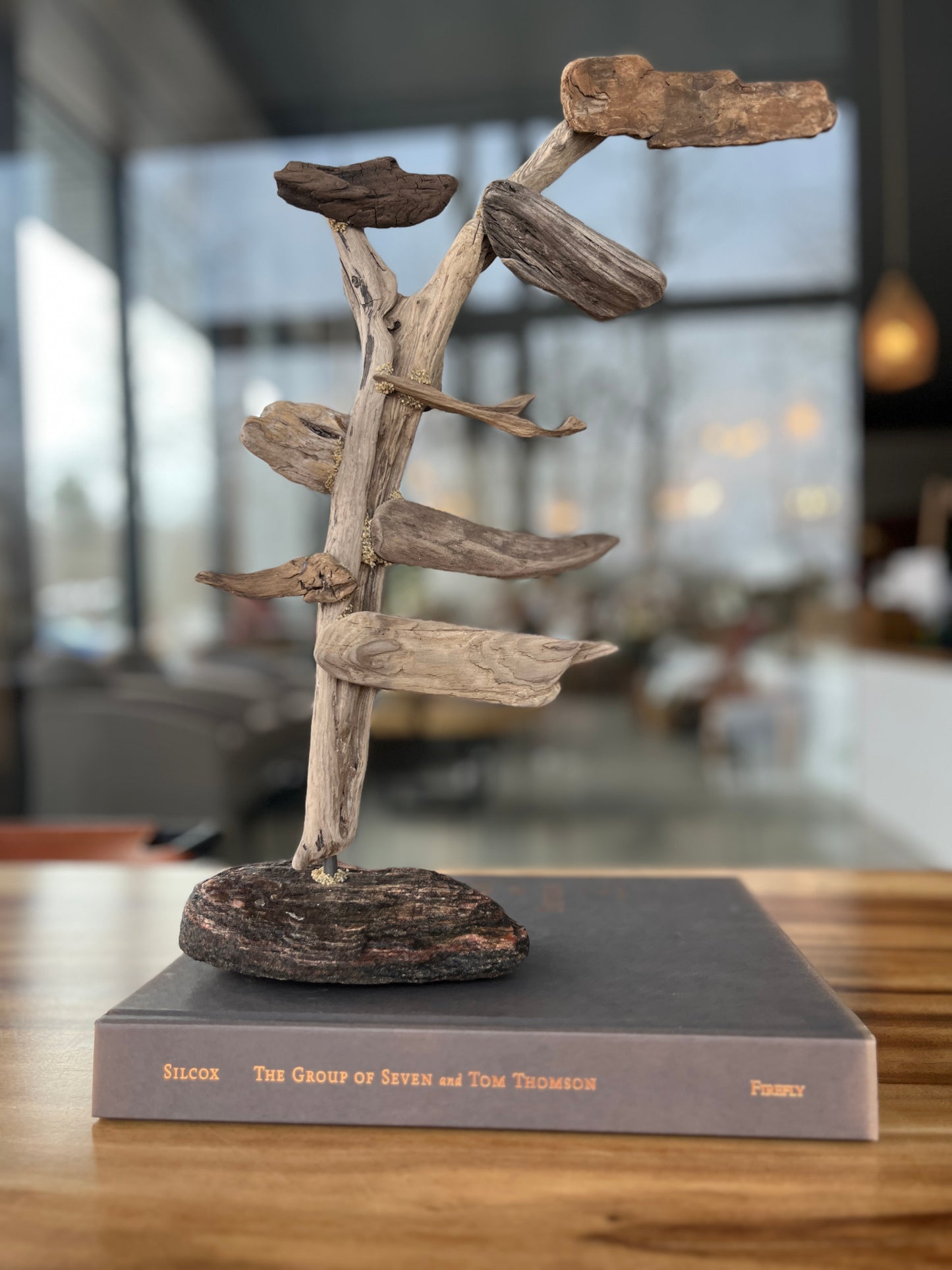 Small Windswept Pine Driftwood Sculpture