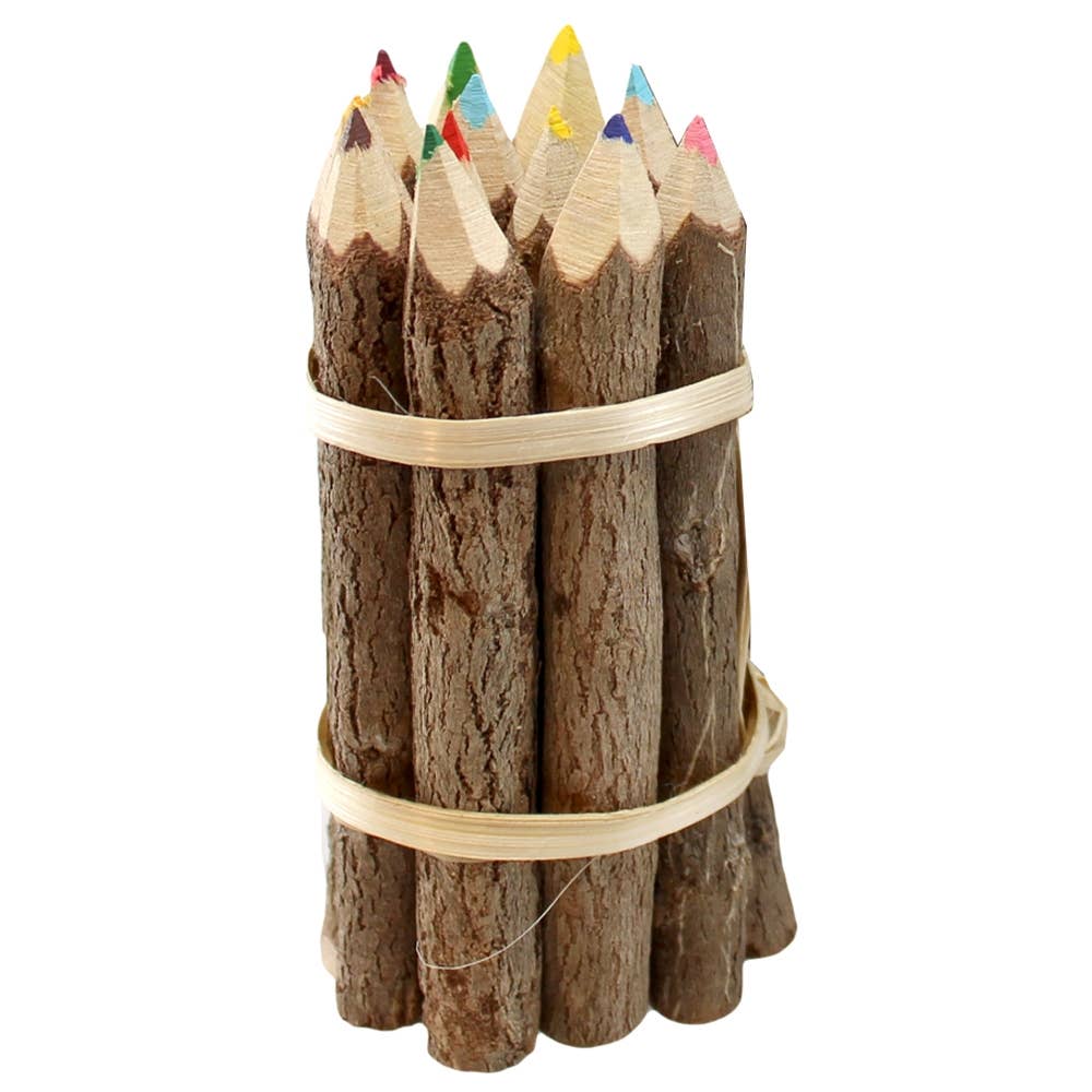 Forest Pencil Crayons | Small
