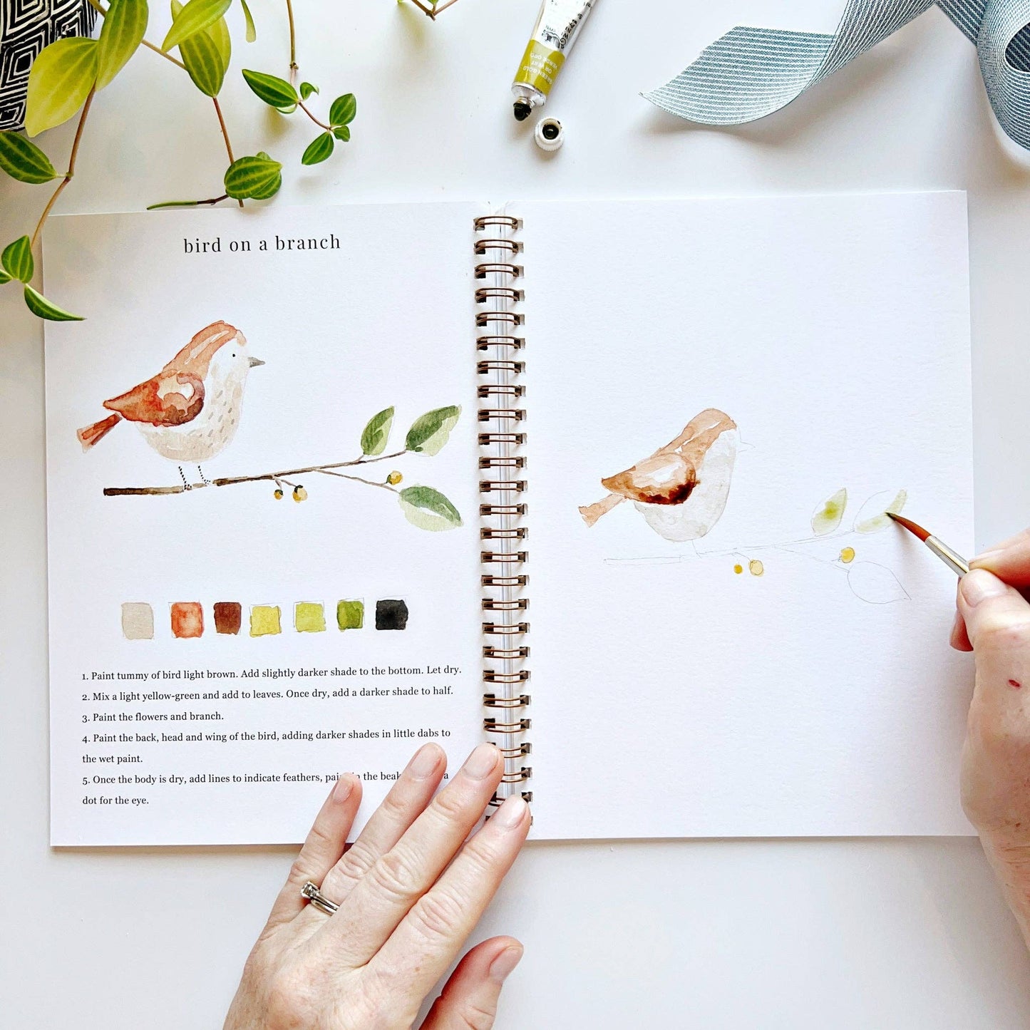 Animals | Watercolour Workbook by Emily Lex