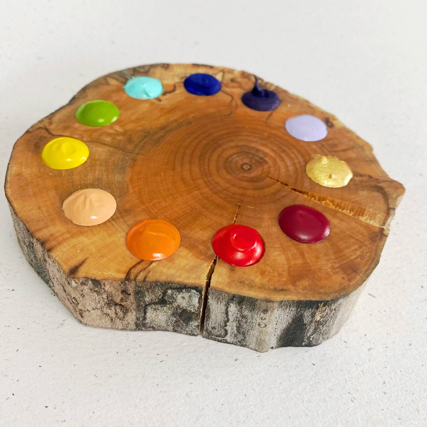 Watercolour Paint Spectrum 11 Palette | Maple Block