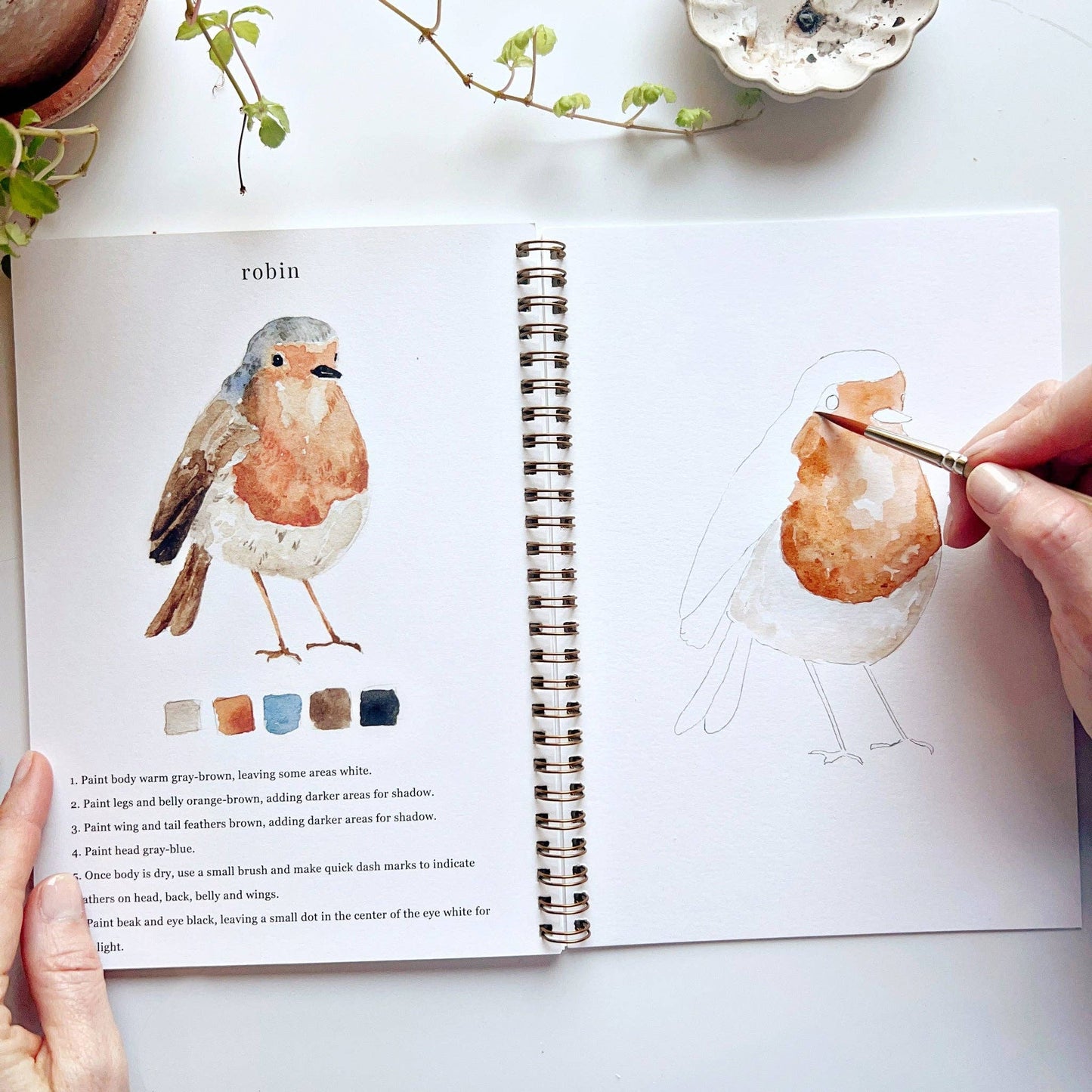 Birds | Watercolour Workbook by Emily Lex