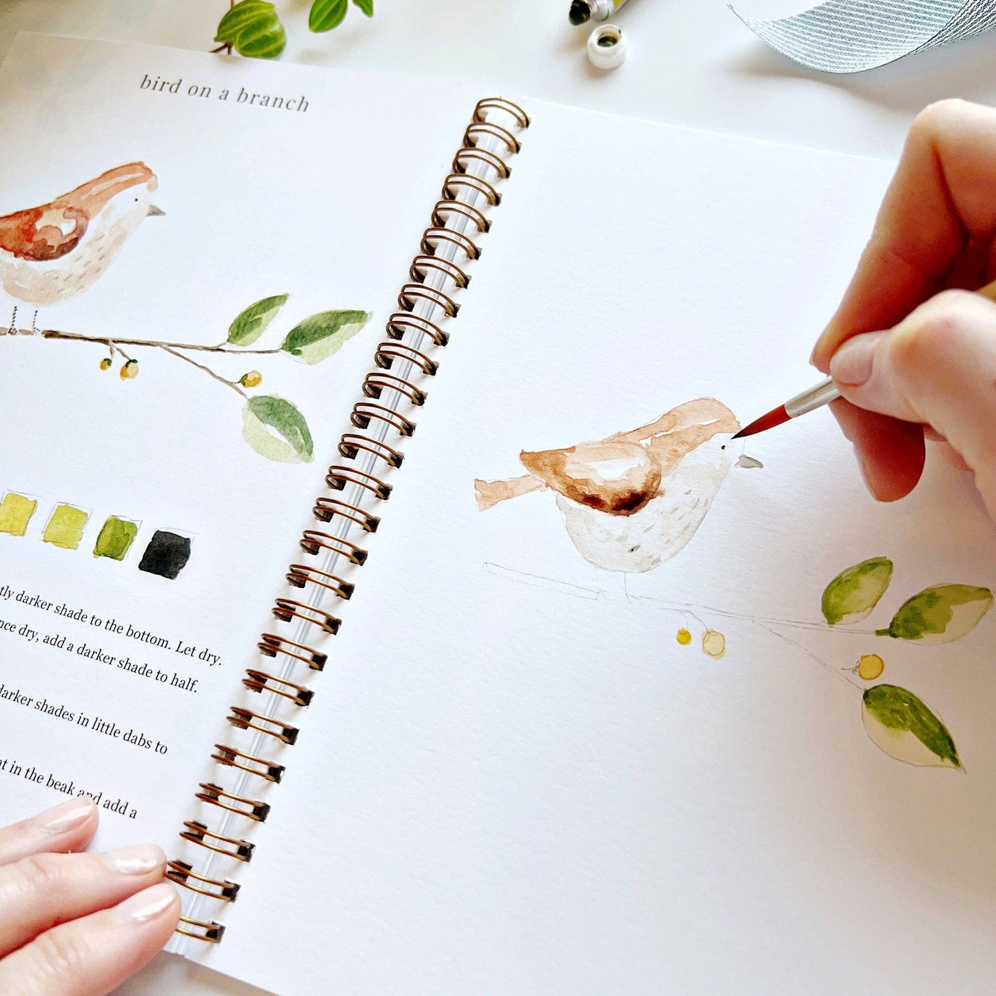 Animals | Watercolour Workbook by Emily Lex