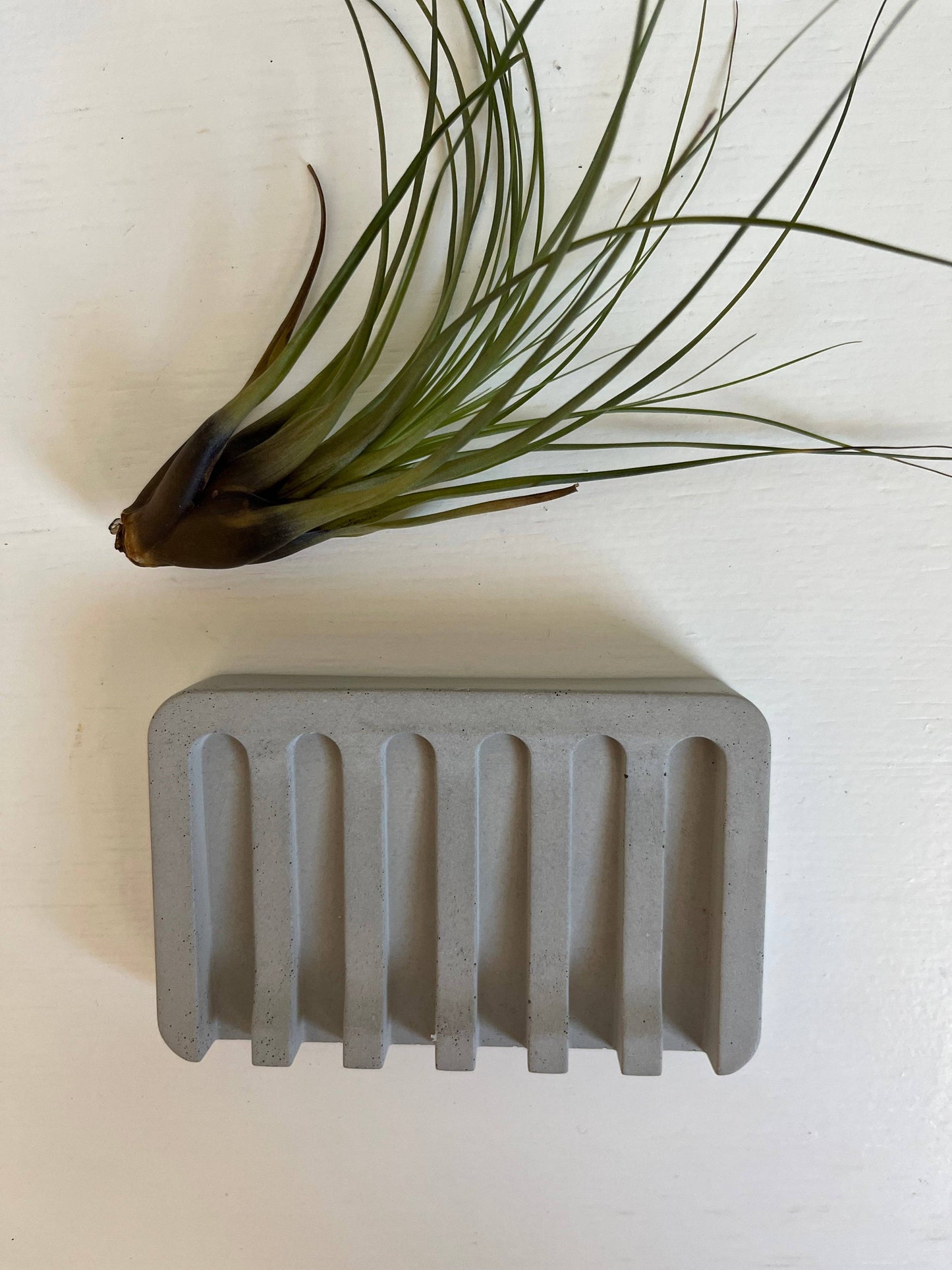 Concrete Soap Dish