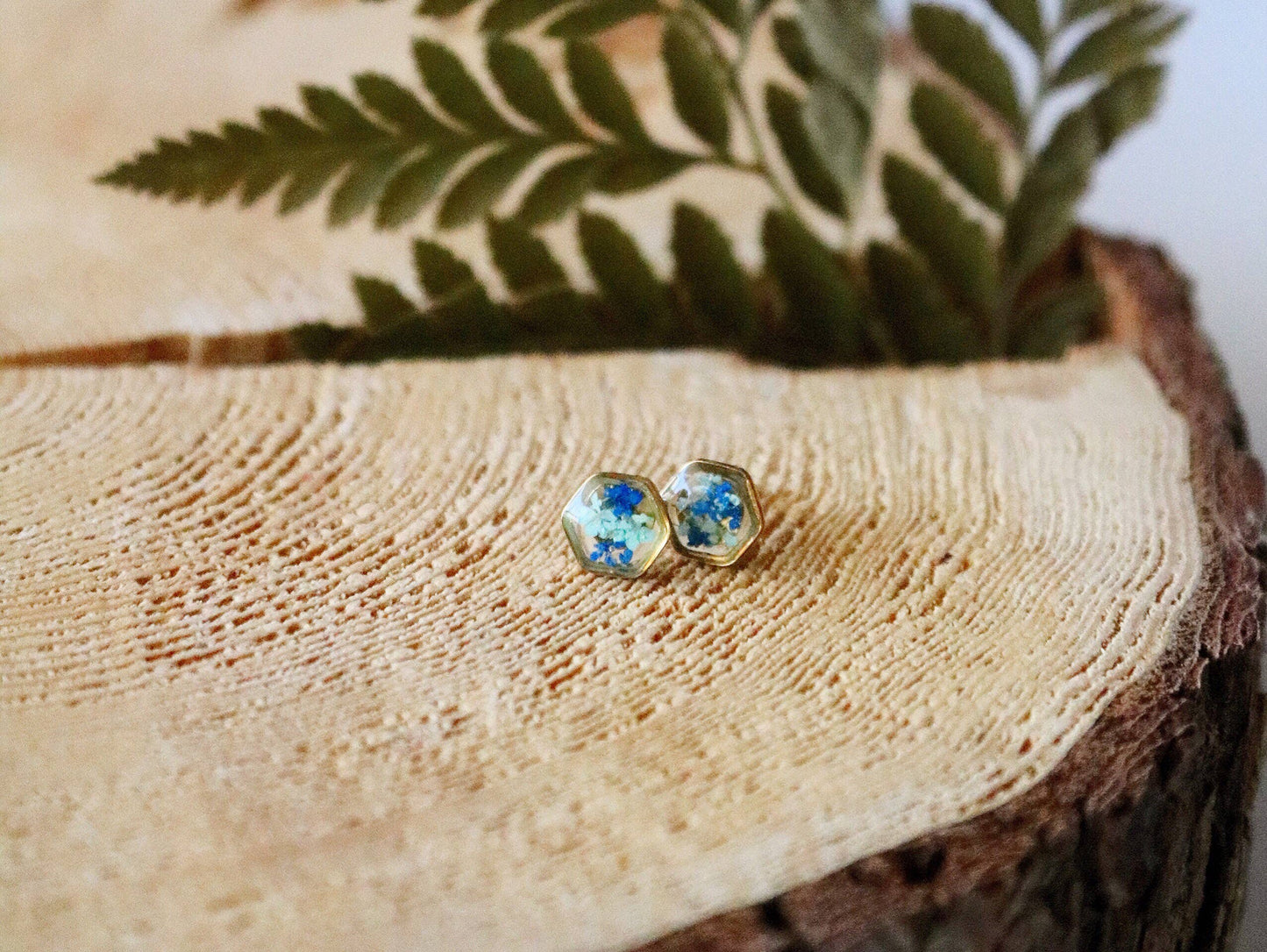 Clous d'oreilles hexagonaux | Silver Nature