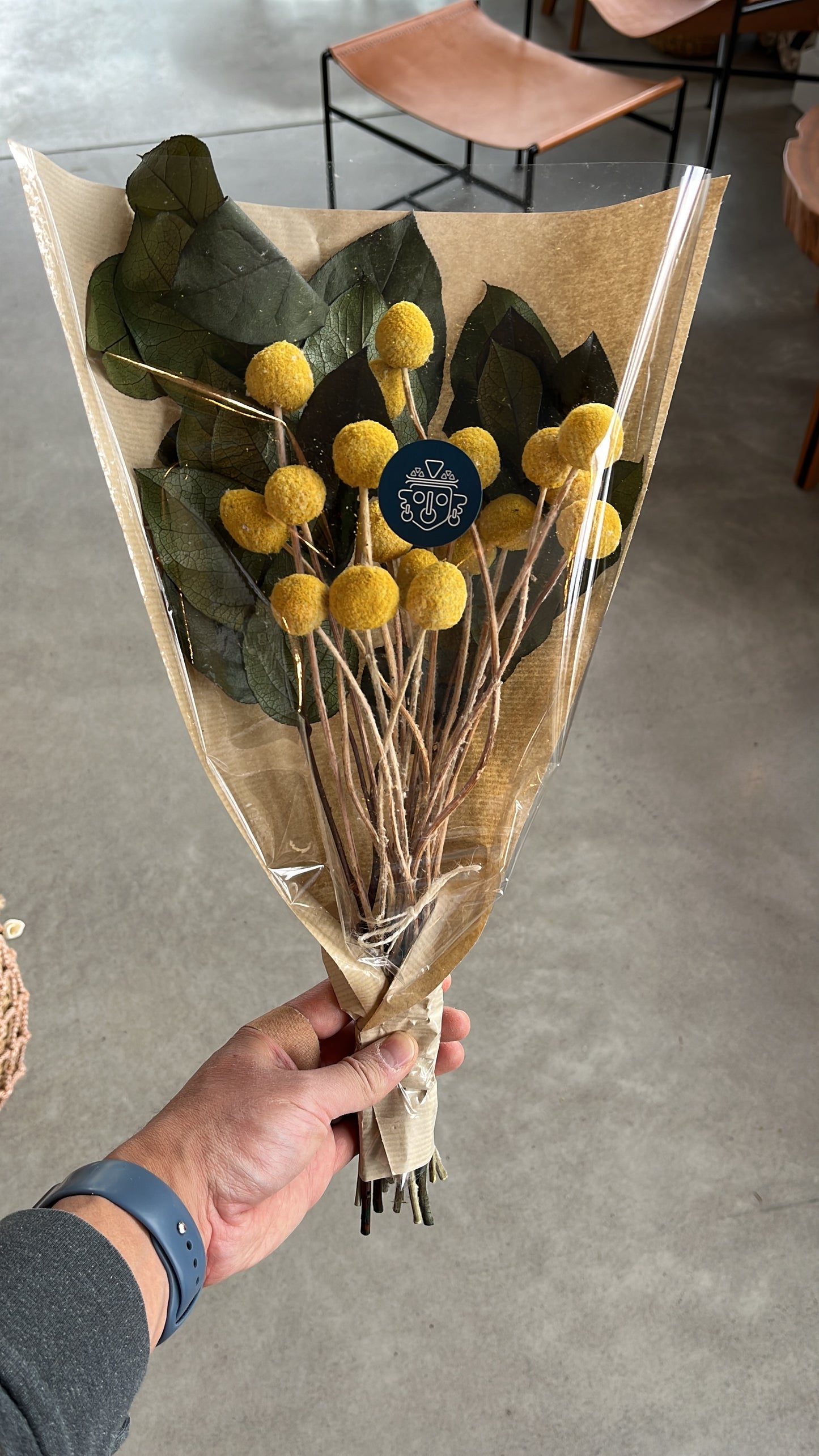 Yellow Craspedia with Salal Leaves | Dried Flower Bundle
