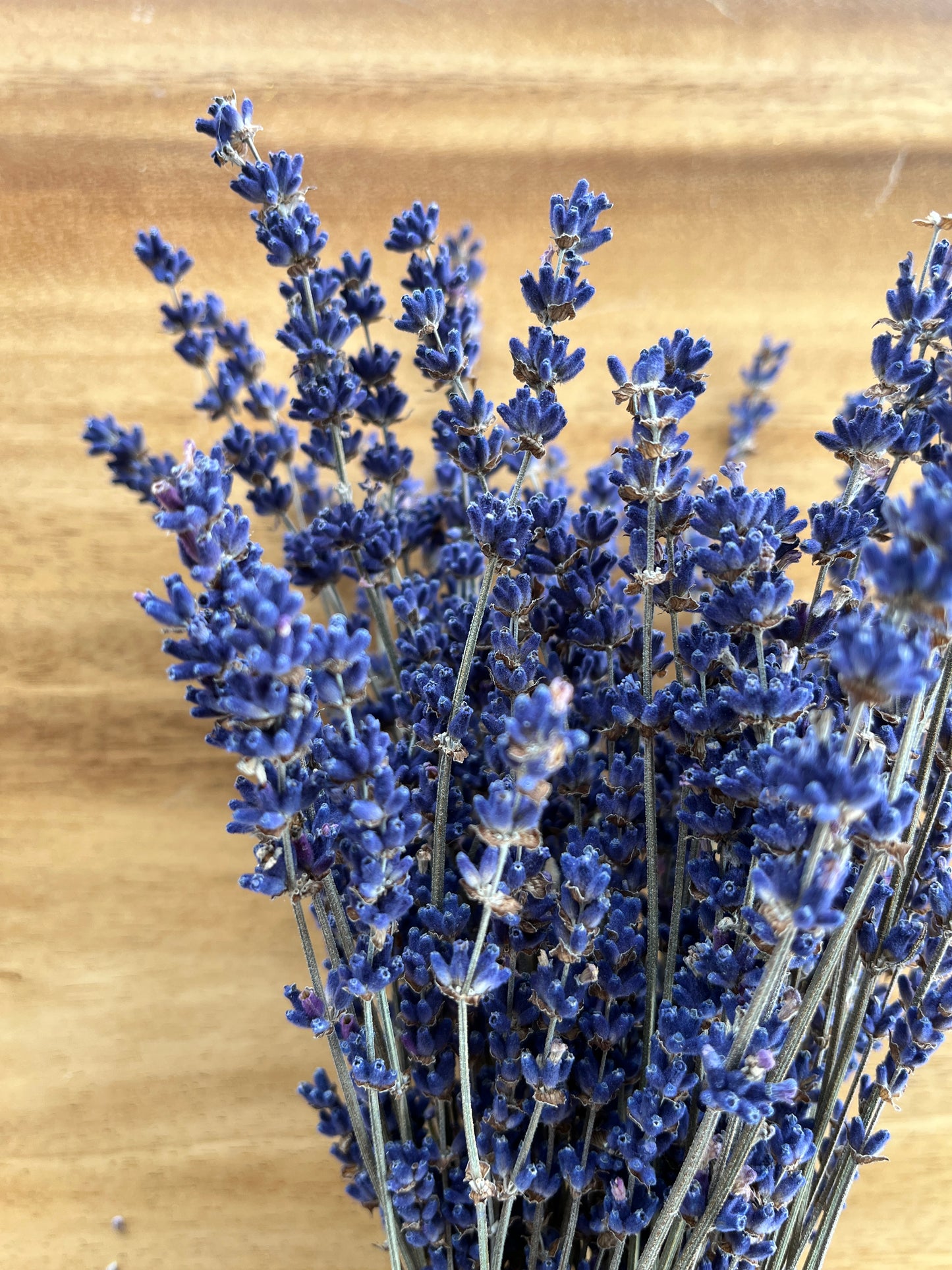 Medium Lavender Bundle | Dried Flower Bundle