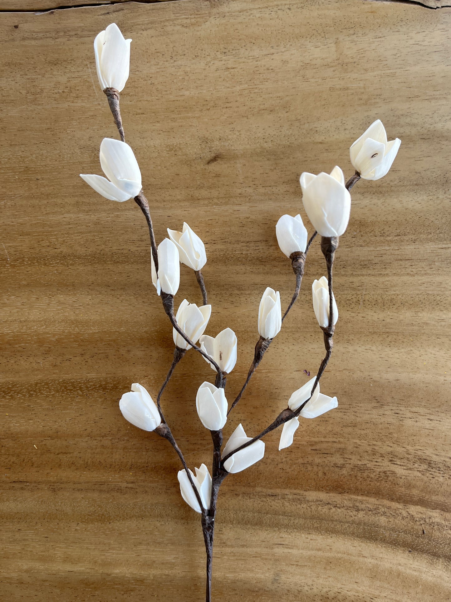 Rosebud Sola Stem | Handcrafted Flower
