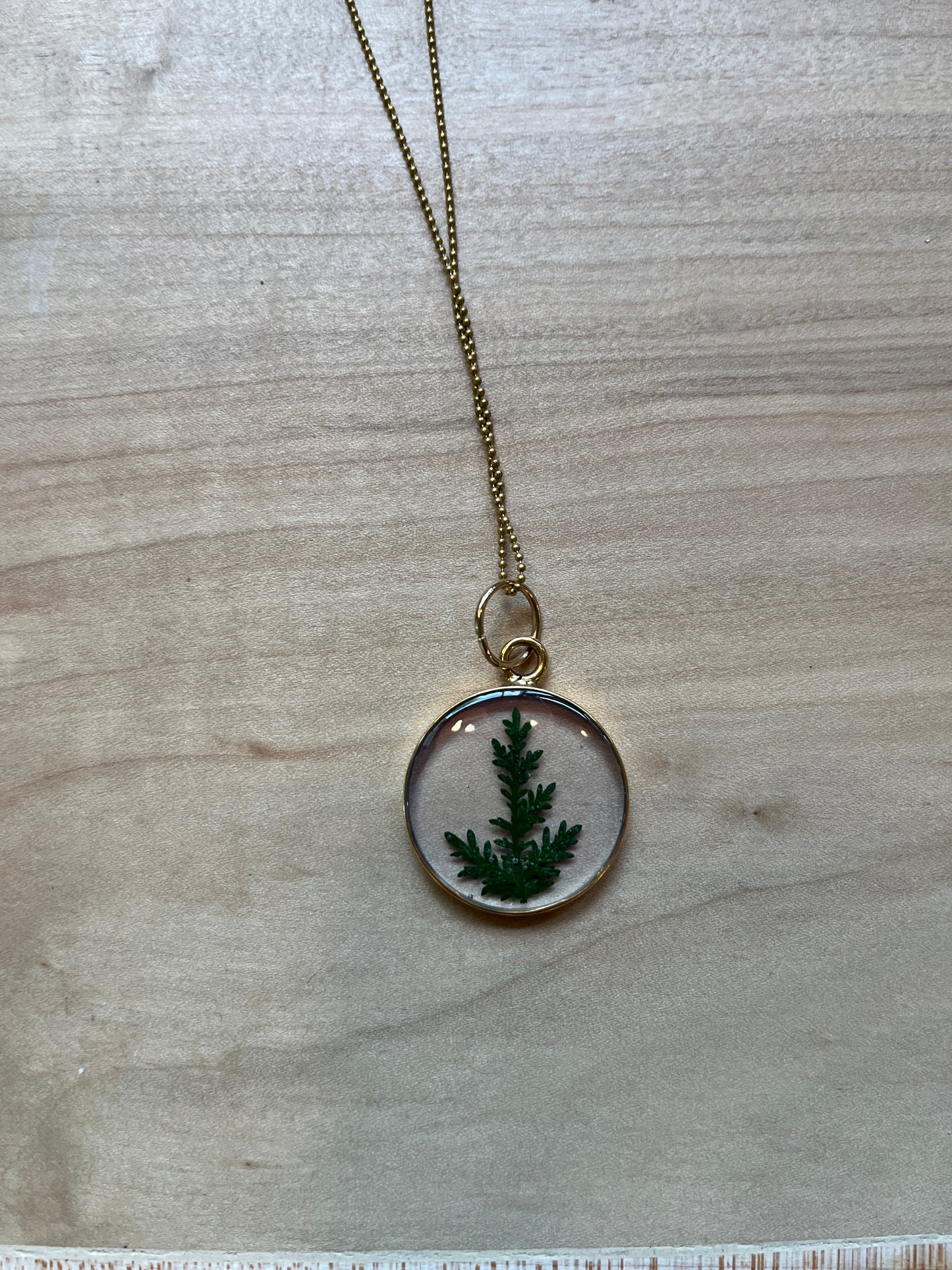 Collier Hexagone | Grande Fougère en Dentelle Dorée