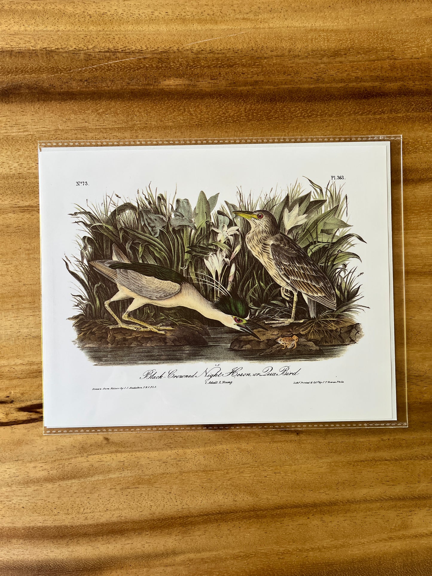 Vintage Audubon Bird Prints – Herons & Cranes Collection