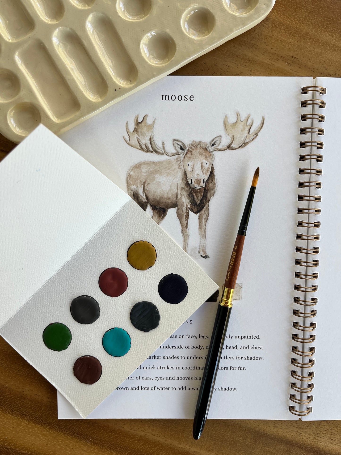 Watercolour Paint Travel Card | Muskoka Palette