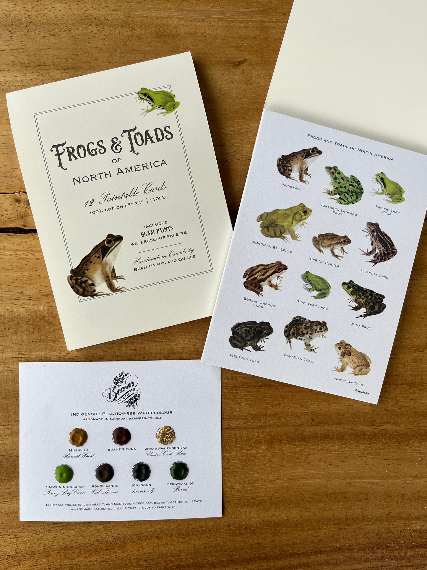 Watercolour Postcard Set | Frogs & Toads