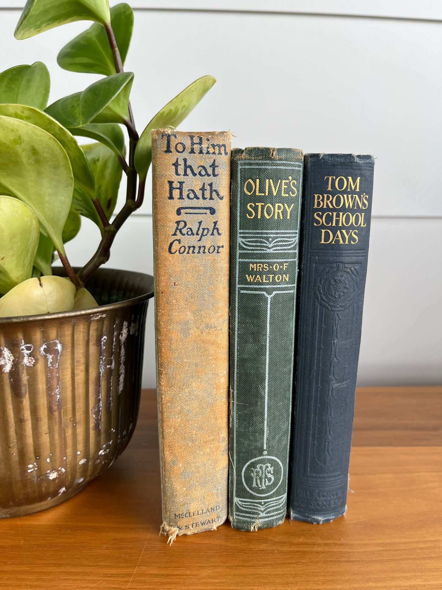 Vintage Book Bundle (1800s-1920s) | Antique Books