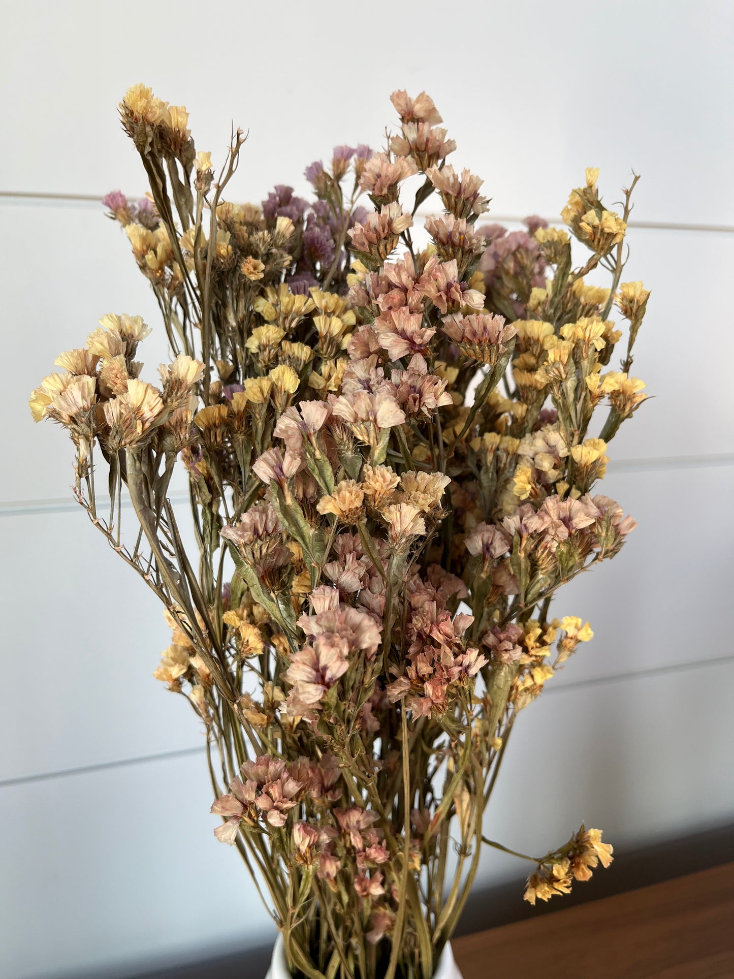 Statice Blend | Dried Flower Bundle