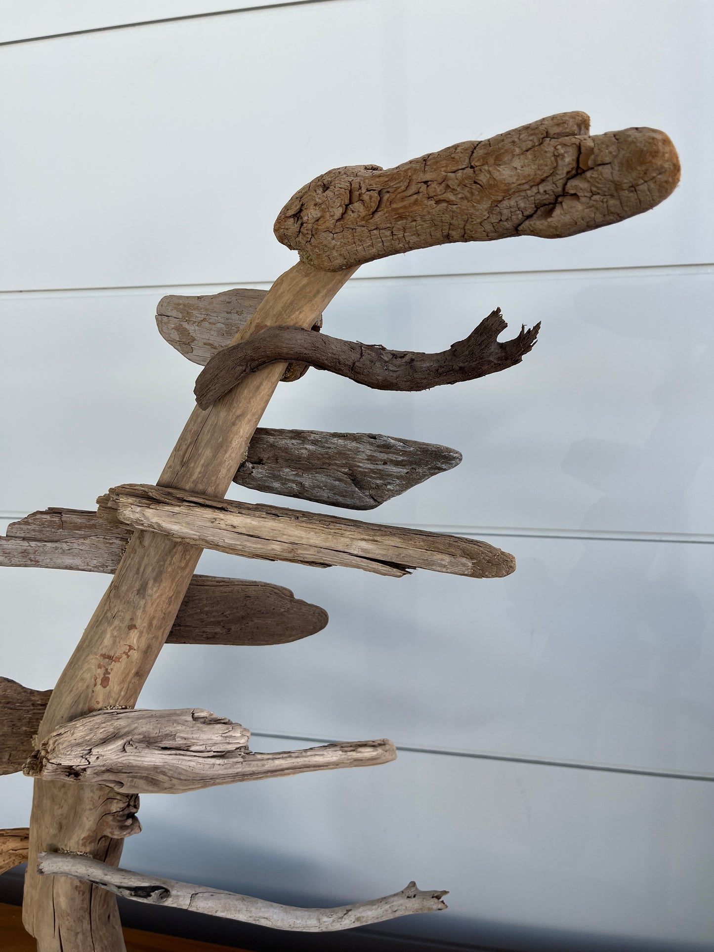 Large Windswept Pine Driftwood Sculpture