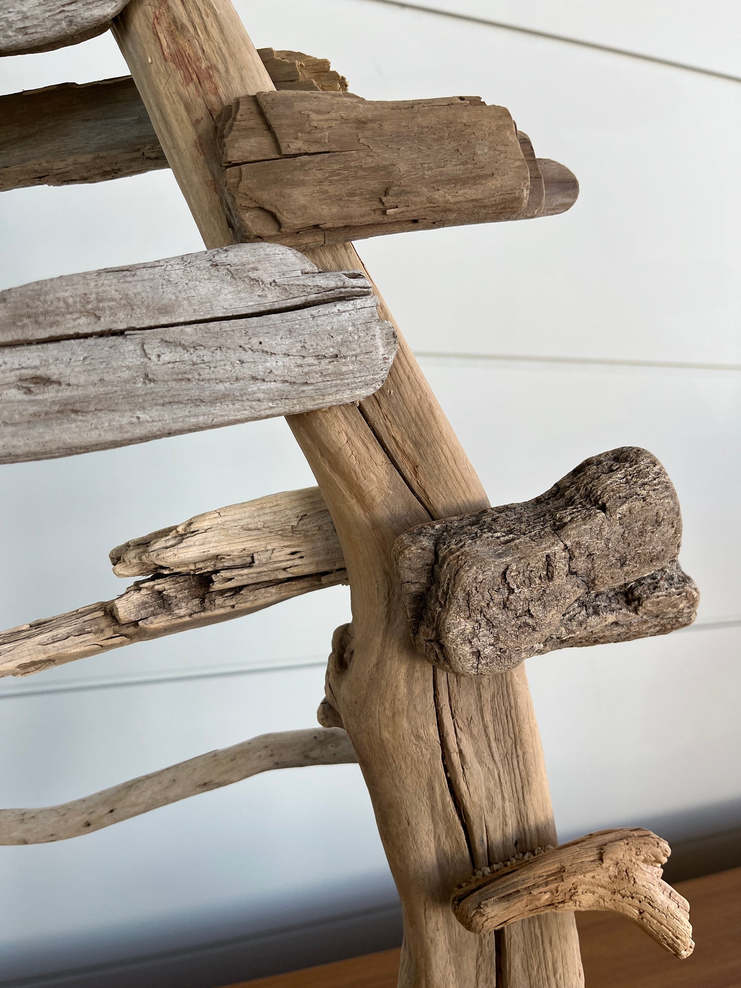 Large Windswept Pine Driftwood Sculpture