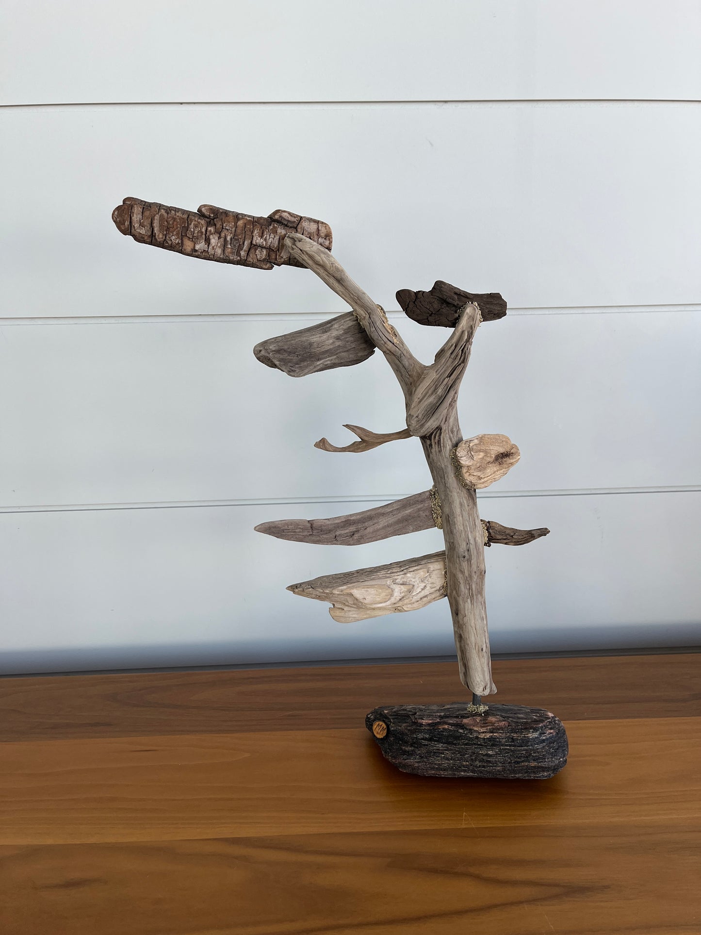 Medium Windswept Pine Driftwood Sculpture