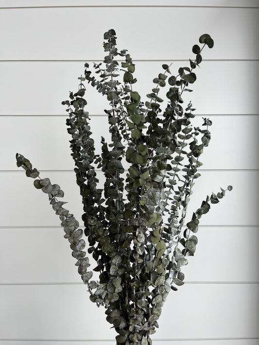 Basil Eucalyptus | Dried Flower Bundle