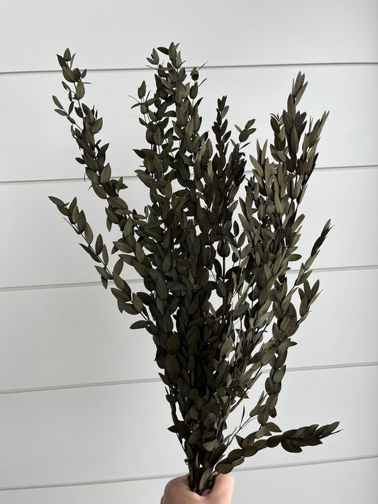 Parvifolia Eucalyptus | Dried Flower Bundle