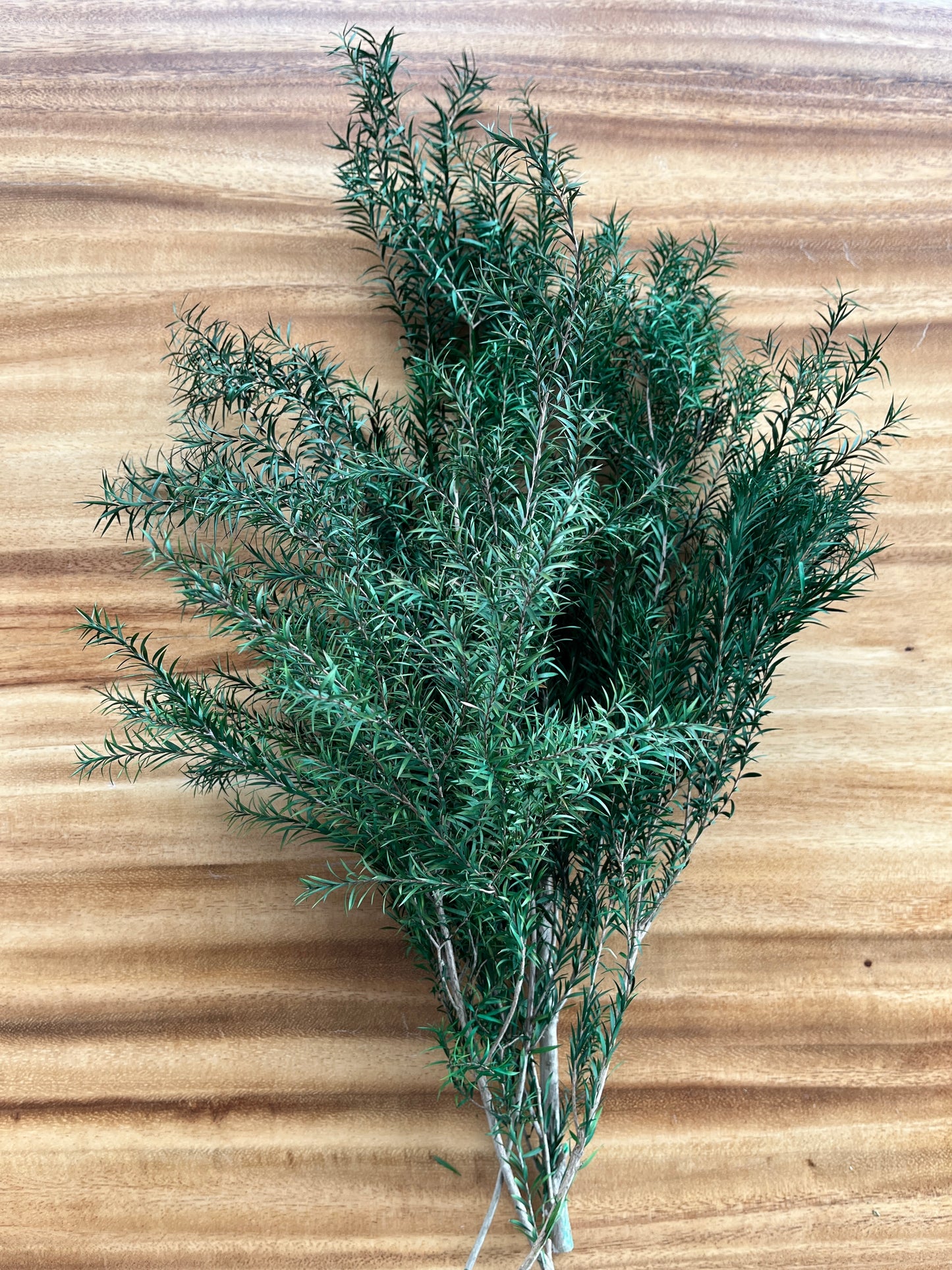 Melaleuca Bracteata | Dried Flower Bundle