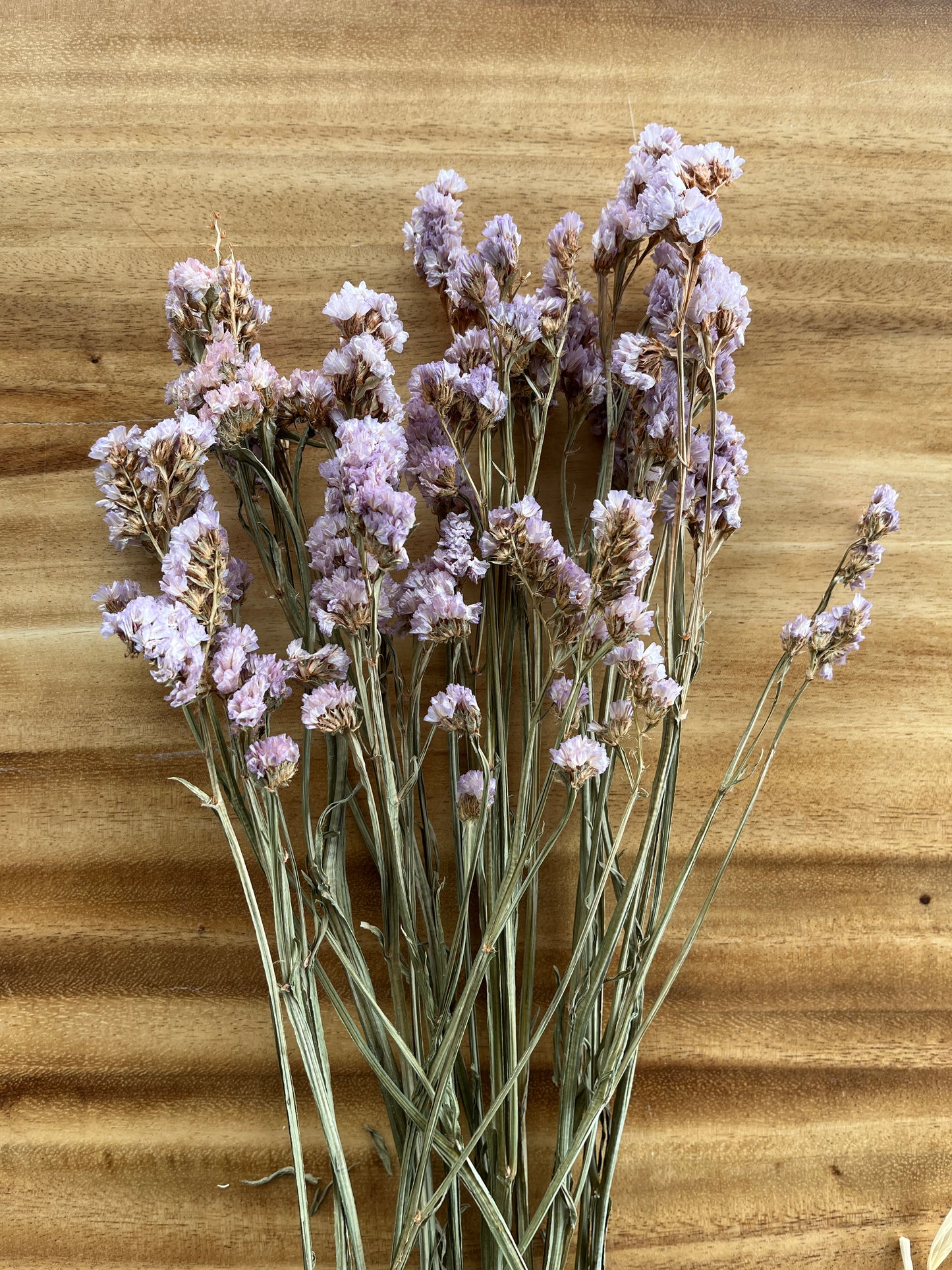 Purple Statice | Dried Flower Bundle