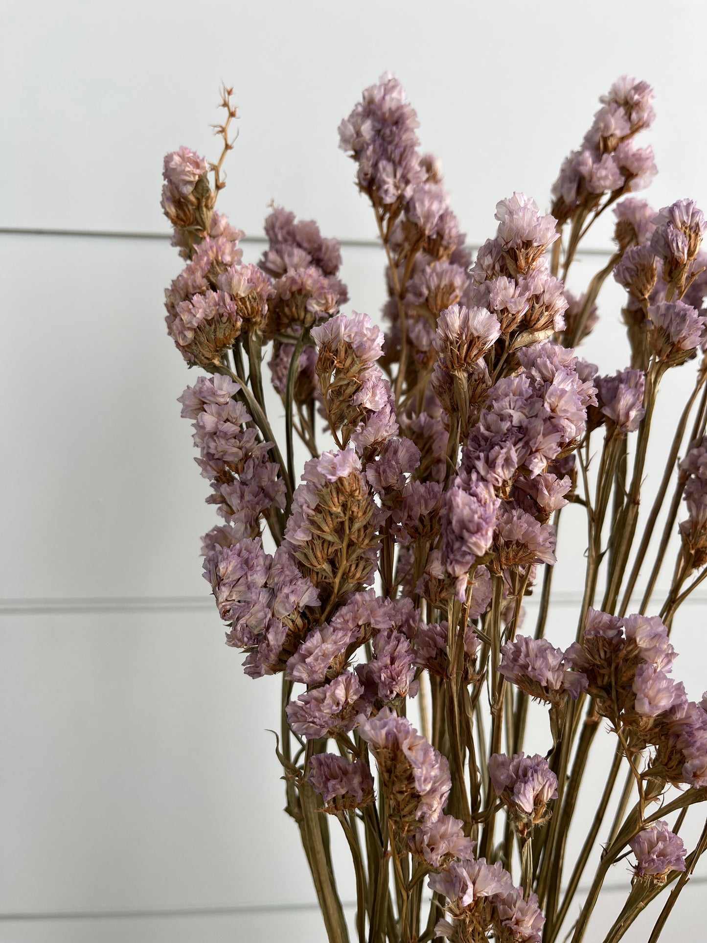 Purple Statice | Dried Flower Bundle