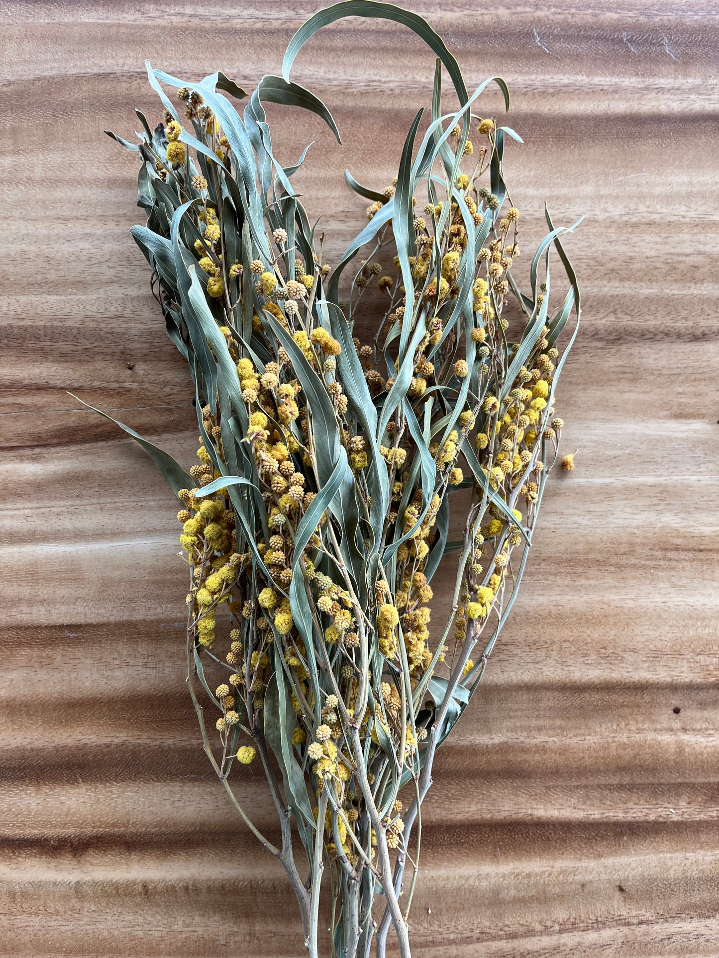 Yellow Mimosa | Dried Flower Bundle