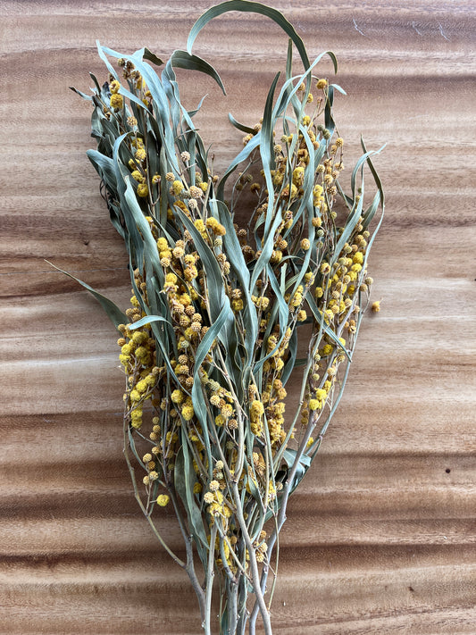 Yellow Mimosa | Dried Flower Bundle