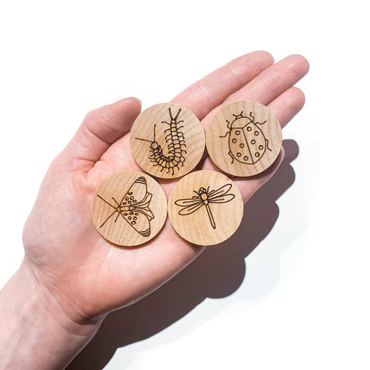 Jeu de mémoire sur les insectes