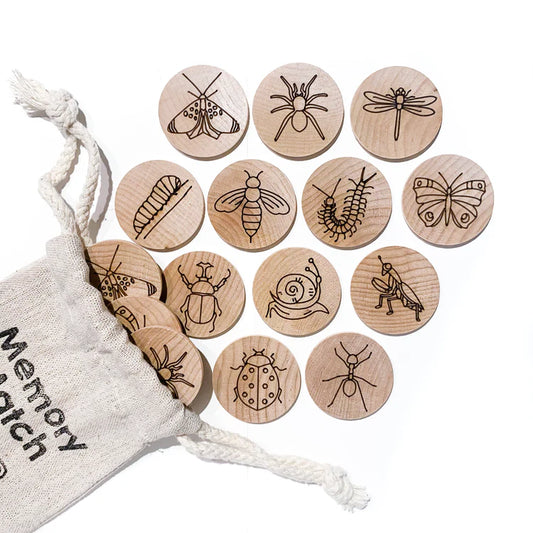 Insect Memory Matching Game
