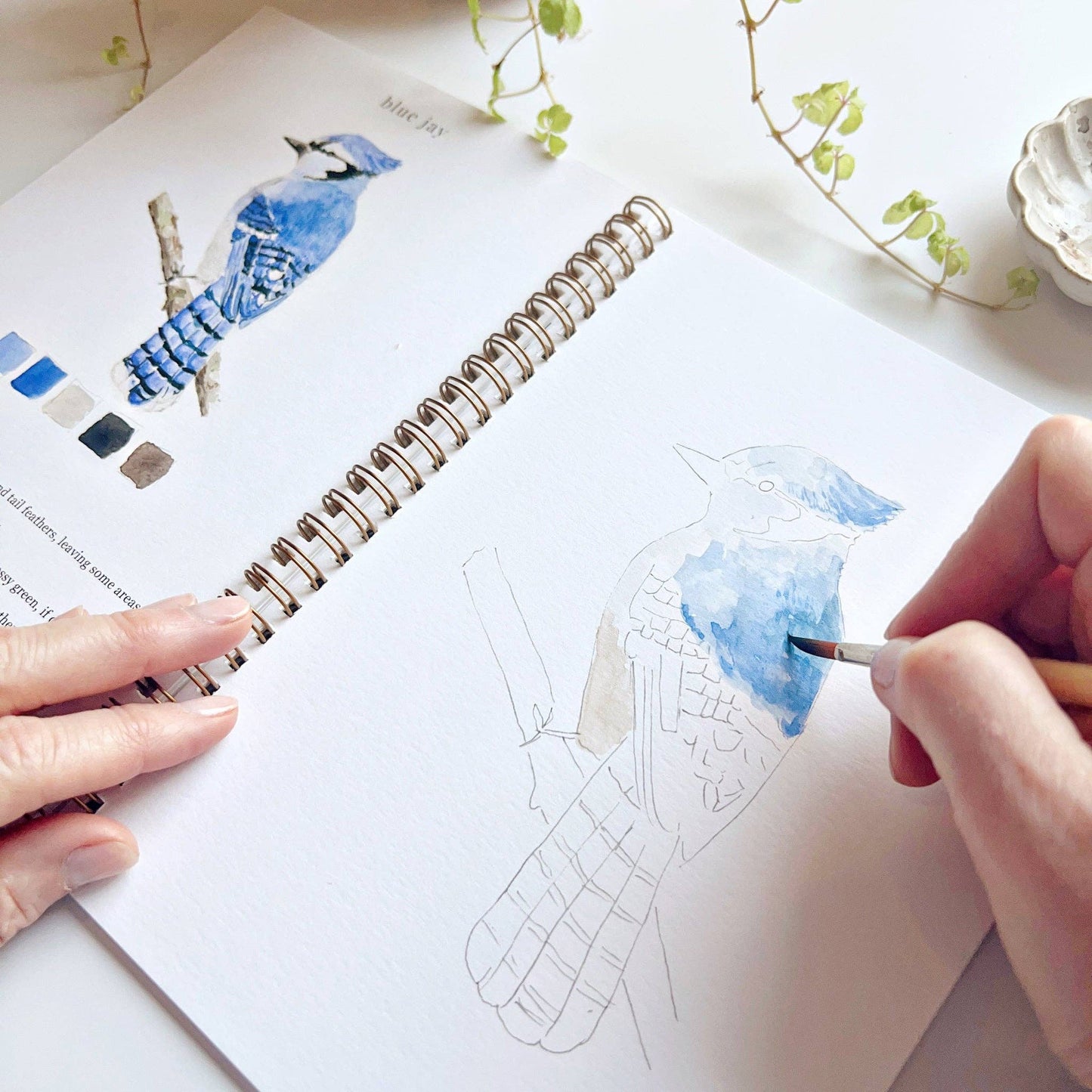 Birds | Watercolour Workbook by Emily Lex