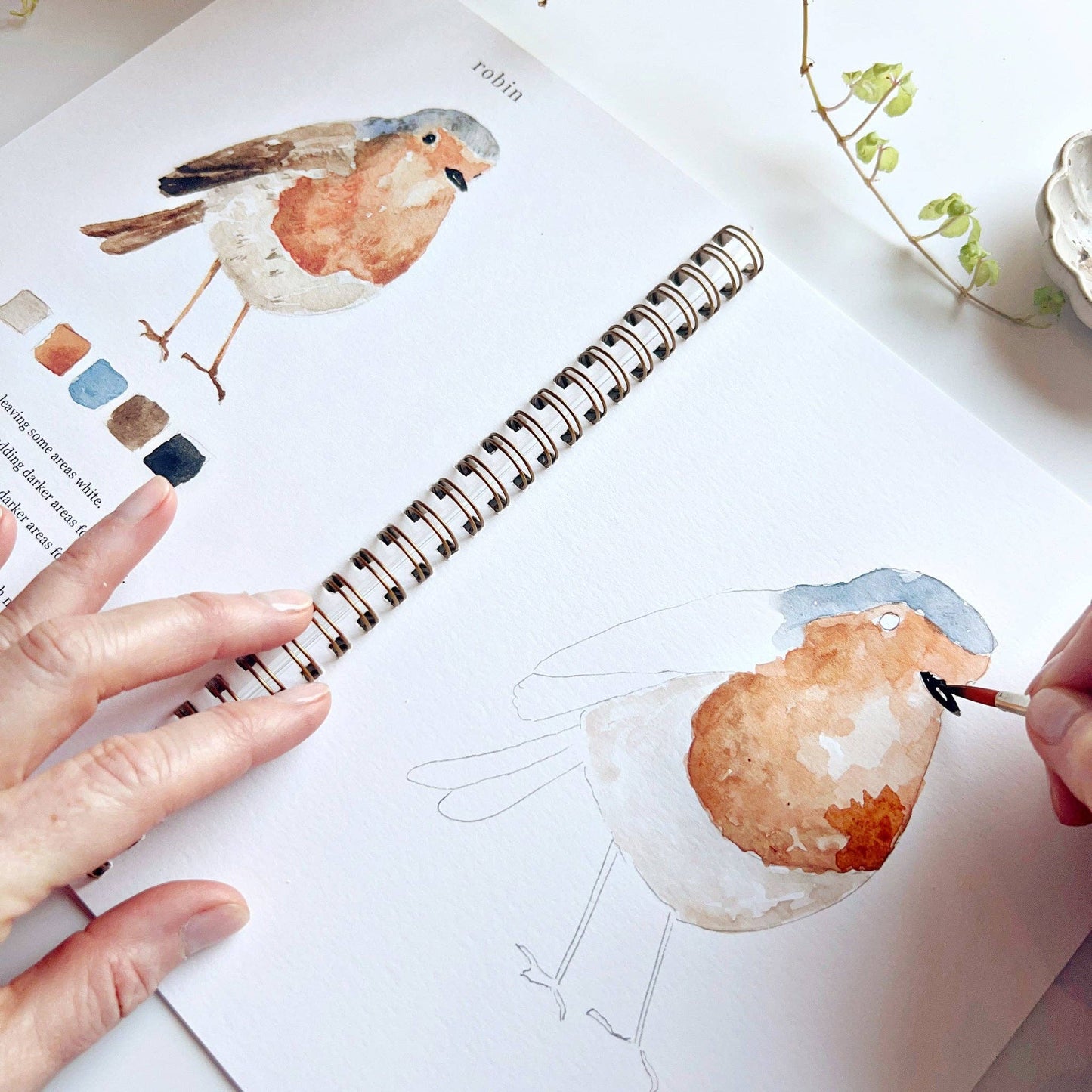 Birds | Watercolour Workbook by Emily Lex