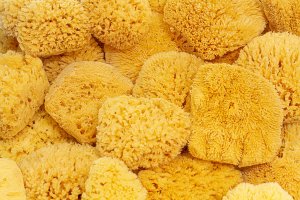 Natural Caribbean Grass Bathing Sponge