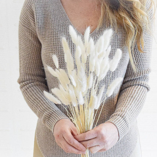 White Bunny Tails | Dried Flower Bundle