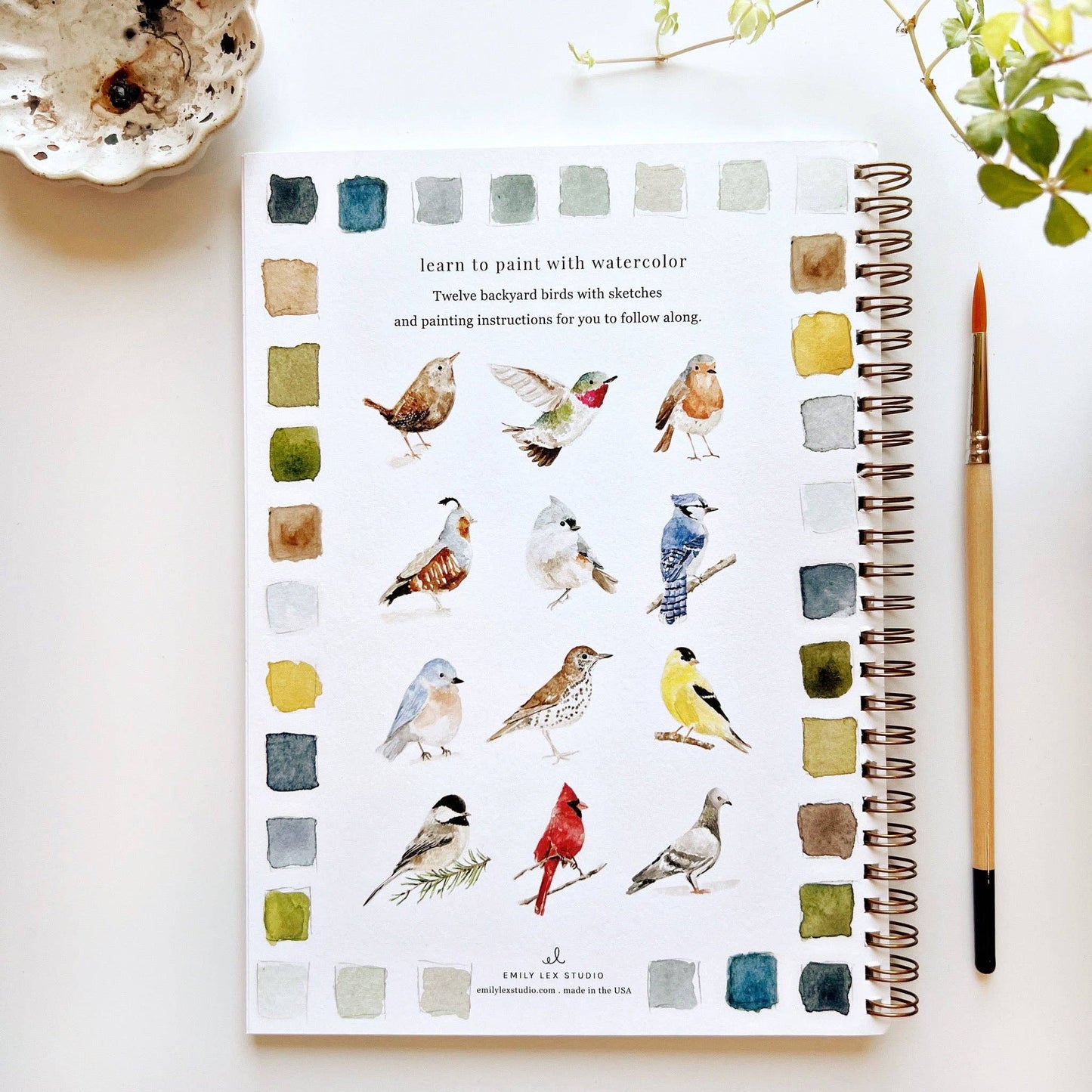 Birds | Watercolour Workbook by Emily Lex