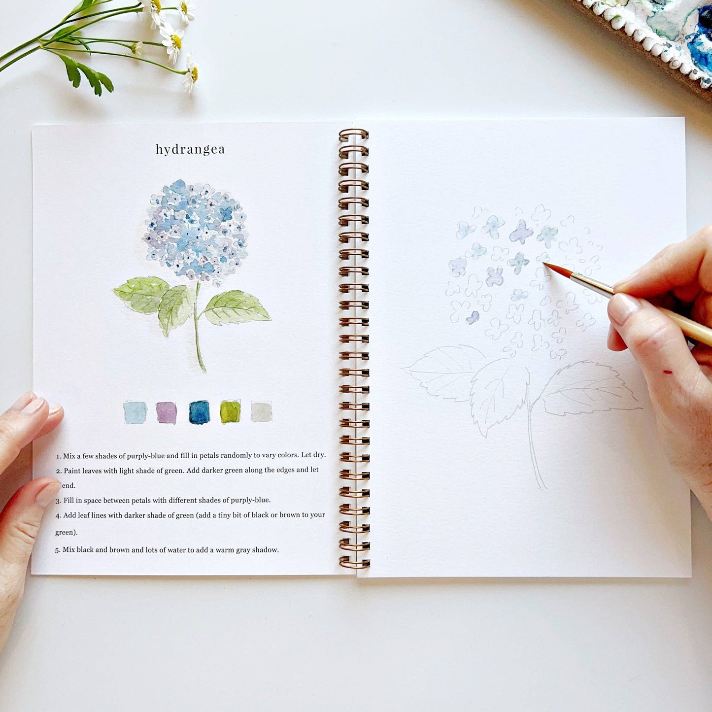 Flowers Watercolour Paint Workbook by Emily Lex