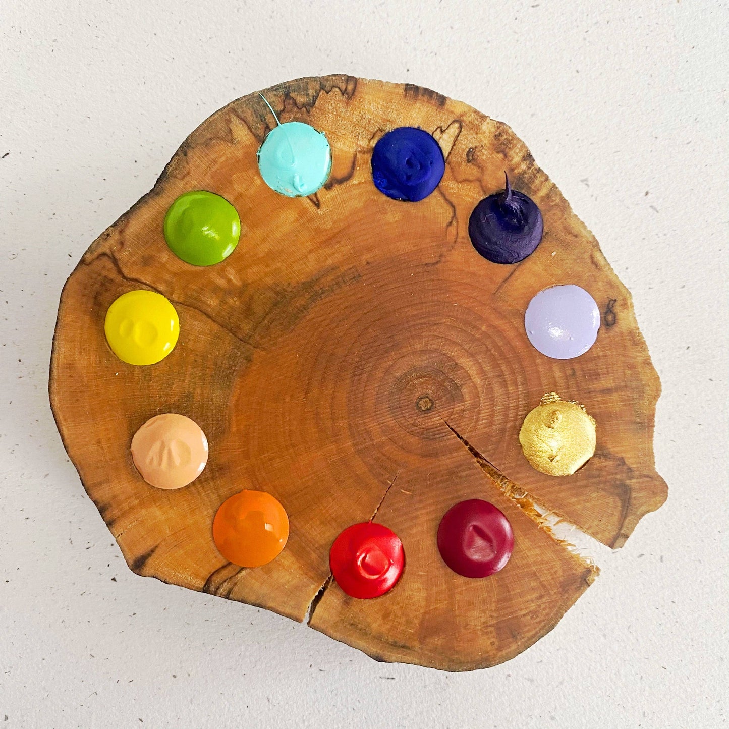 Watercolour Paint Spectrum 11 Palette | Maple Block
