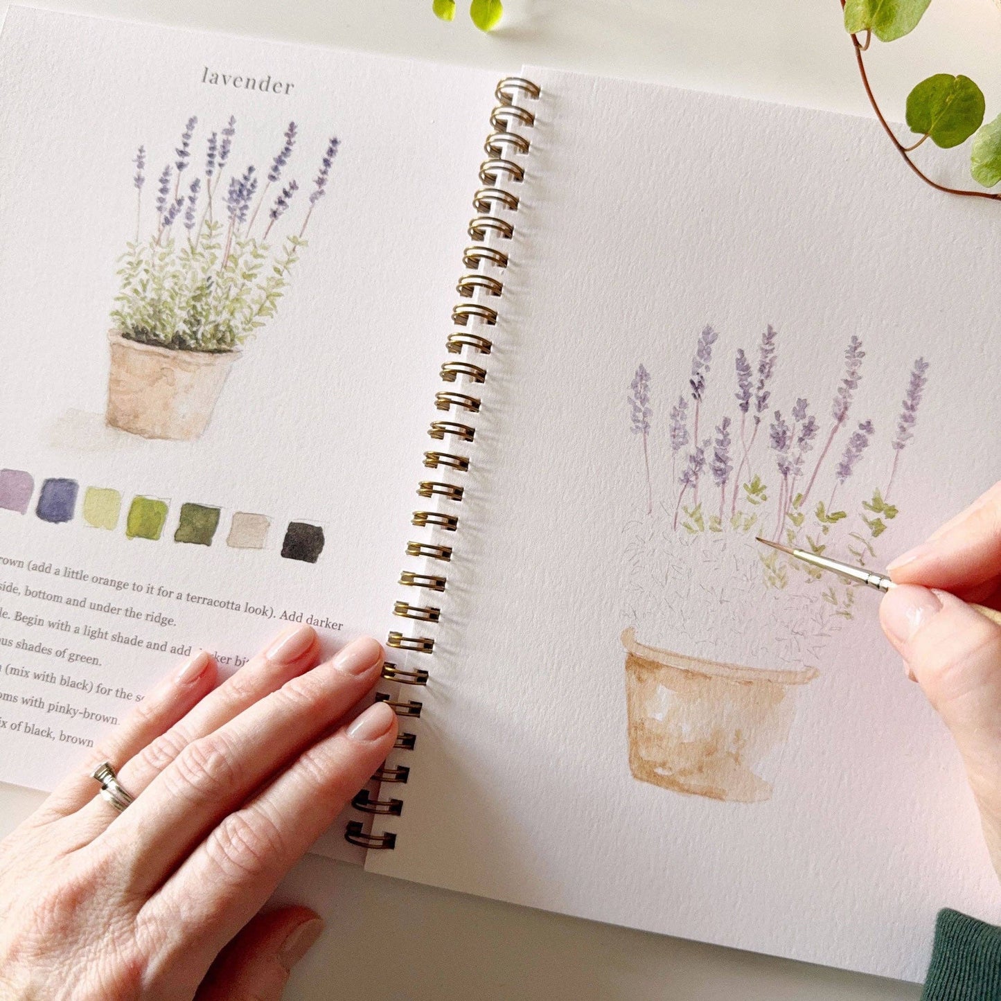 Garden | Watercolour Workbook