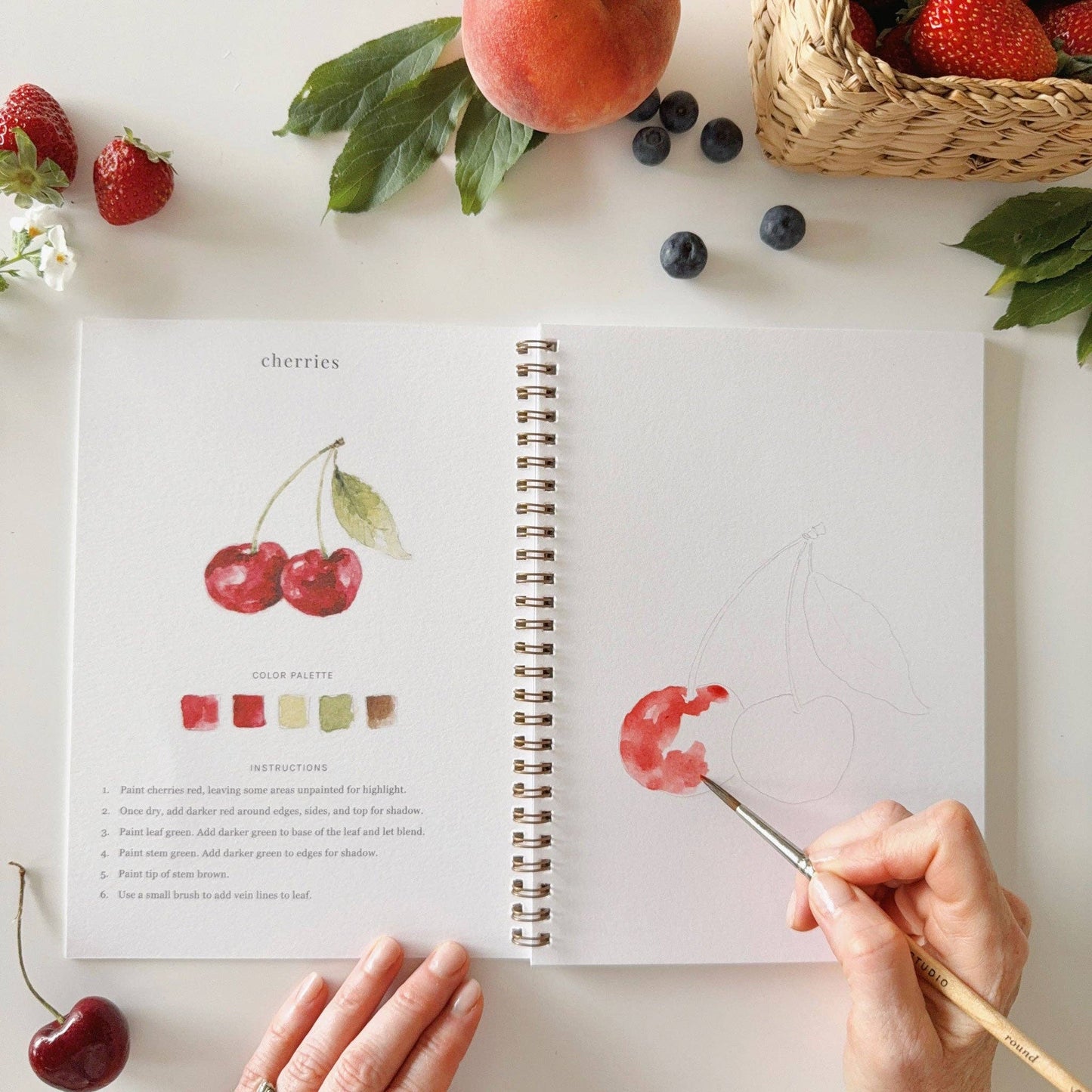 Fruit Watercolour Workbook by Emily Lex