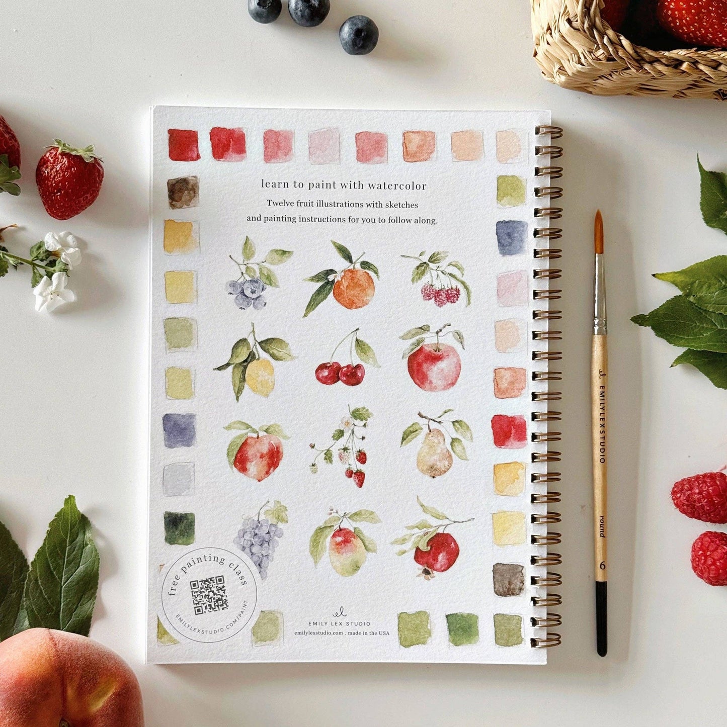 Fruit Watercolour Workbook by Emily Lex
