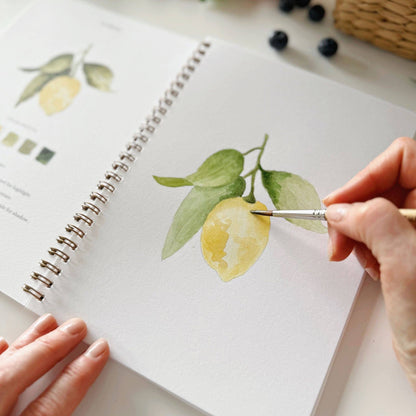 Fruit Watercolour Workbook by Emily Lex