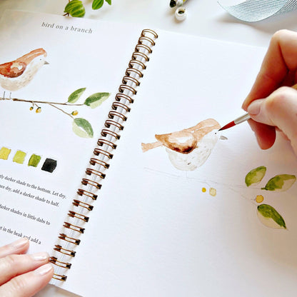 Cahier d'activités aquarelle sur les animaux