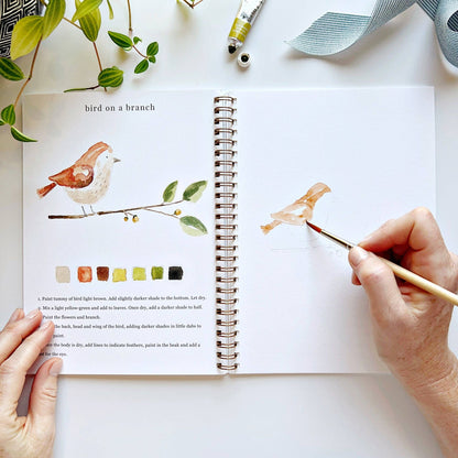 Cahier d'activités aquarelle sur les animaux